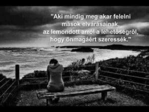 Megfelelesi kenyszer